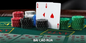 Bài cào rùa
