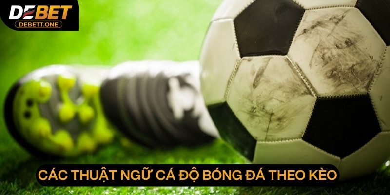 Các thuật ngữ cá độ bóng đá theo 3 loại kèo hot