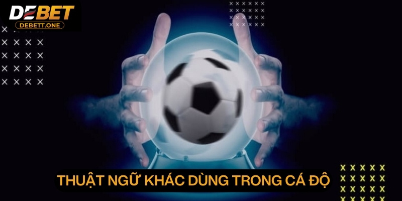 Điểm qua các thuật ngữ khác dùng cá độ bóng đá