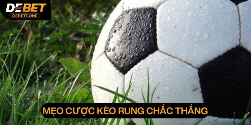 Bí quyết cược Running Ball